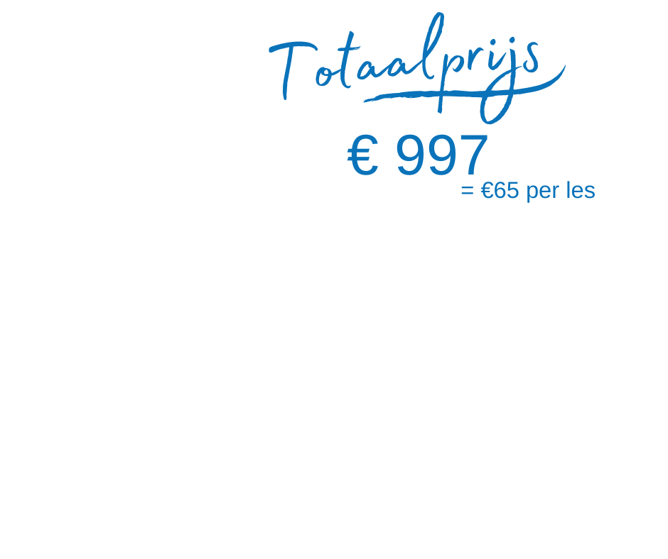 website totaalpris (2)